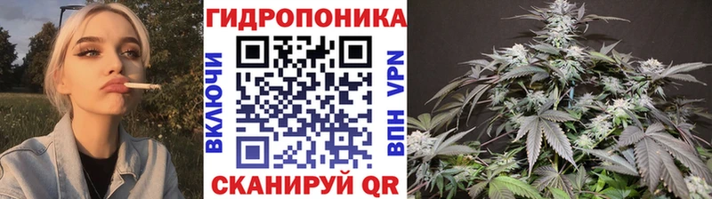 Купить наркотики Дубовка Cocaine  Меф  Конопля 