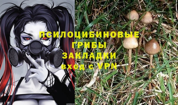 Альфа ПВП Богданович