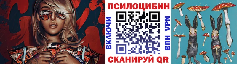 купить сайты Дубовка Псилоцибиновые грибы мицелий